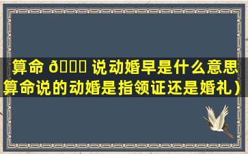 算命 🐎 说动婚早是什么意思（算命说的动婚是指领证还是婚礼）